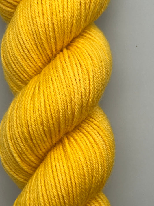 Daffodil