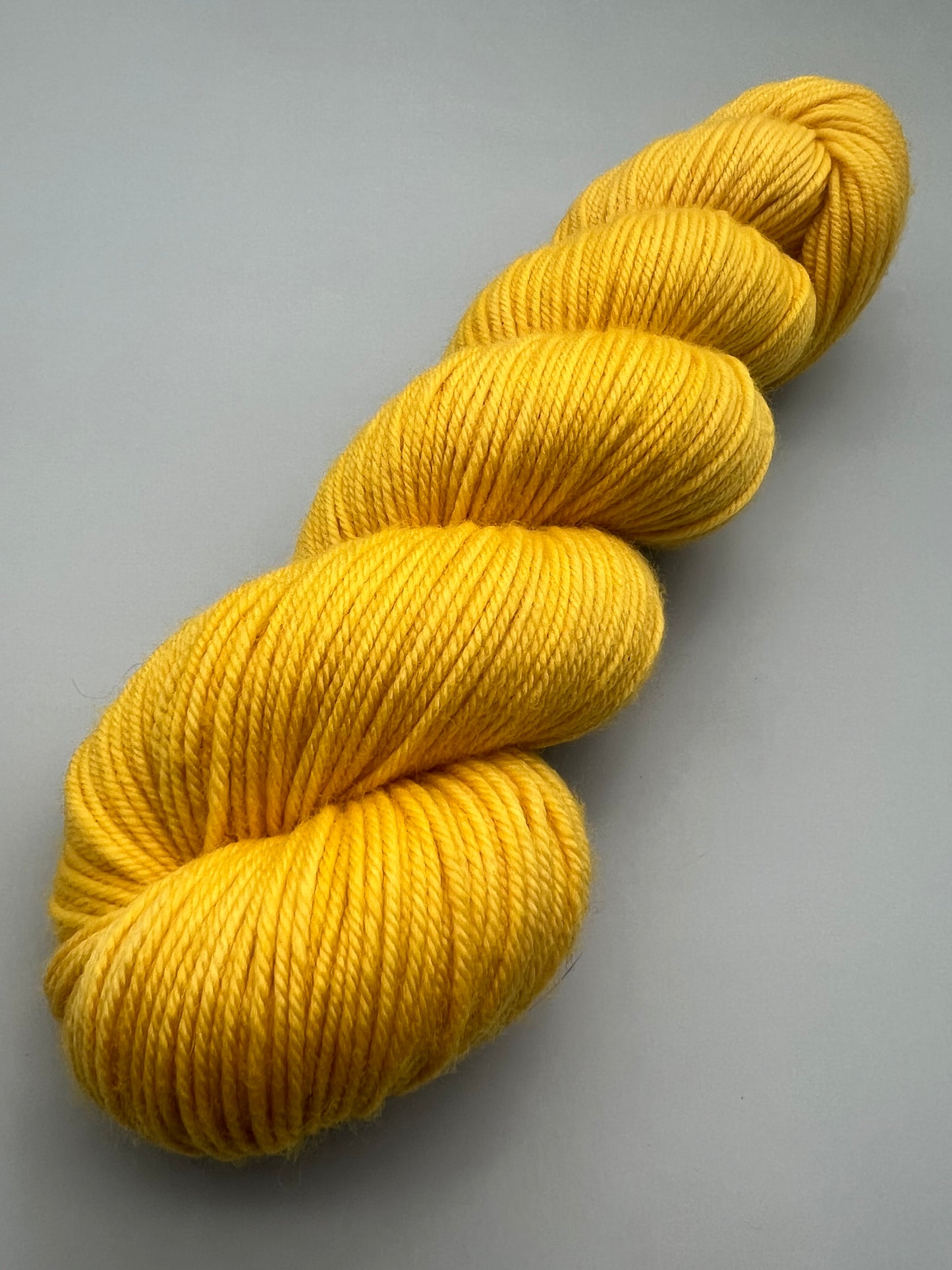 Daffodil
