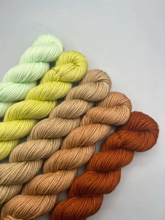 WARM June 50g Kit!