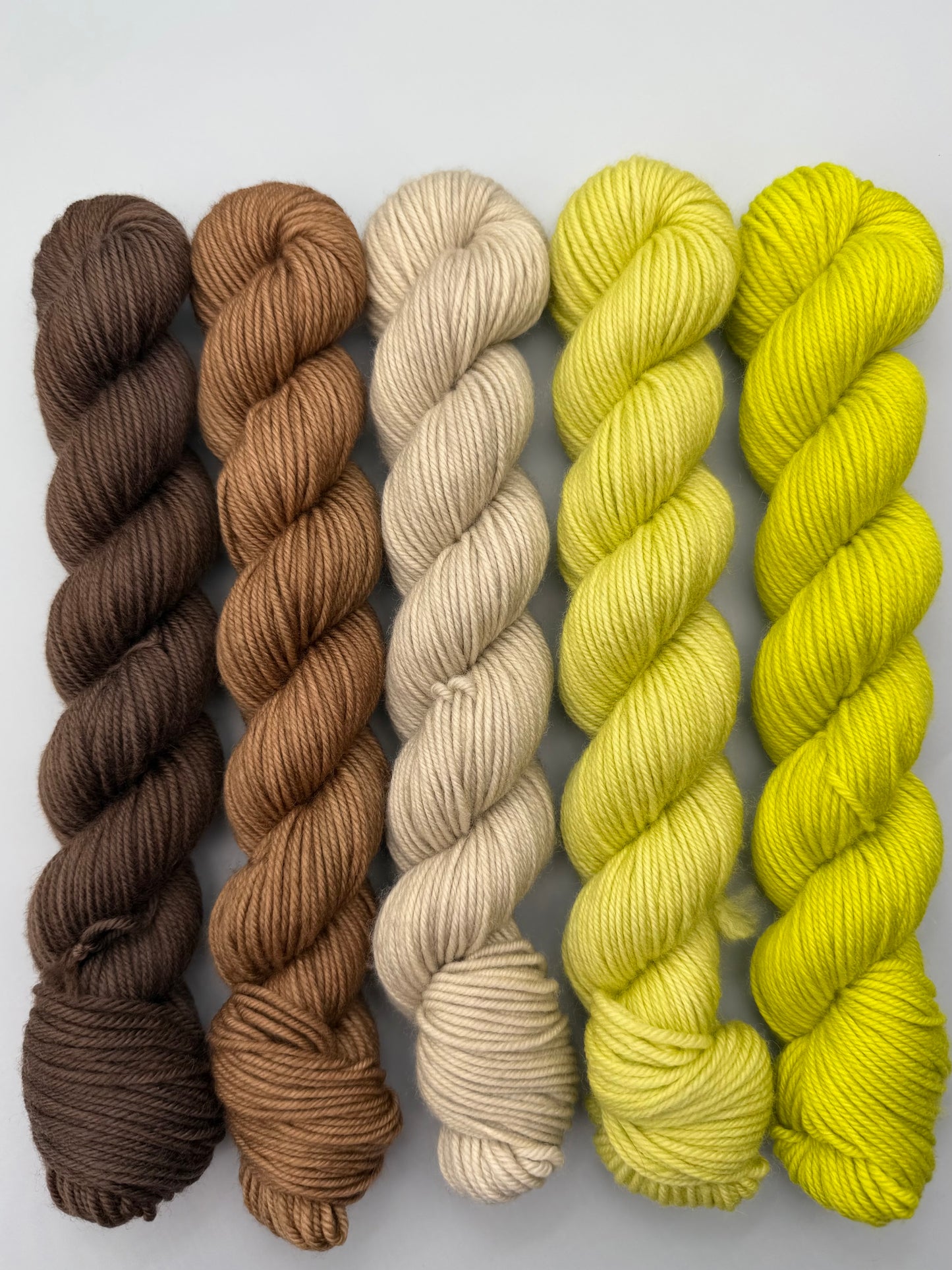 WARM April 50g Kit!