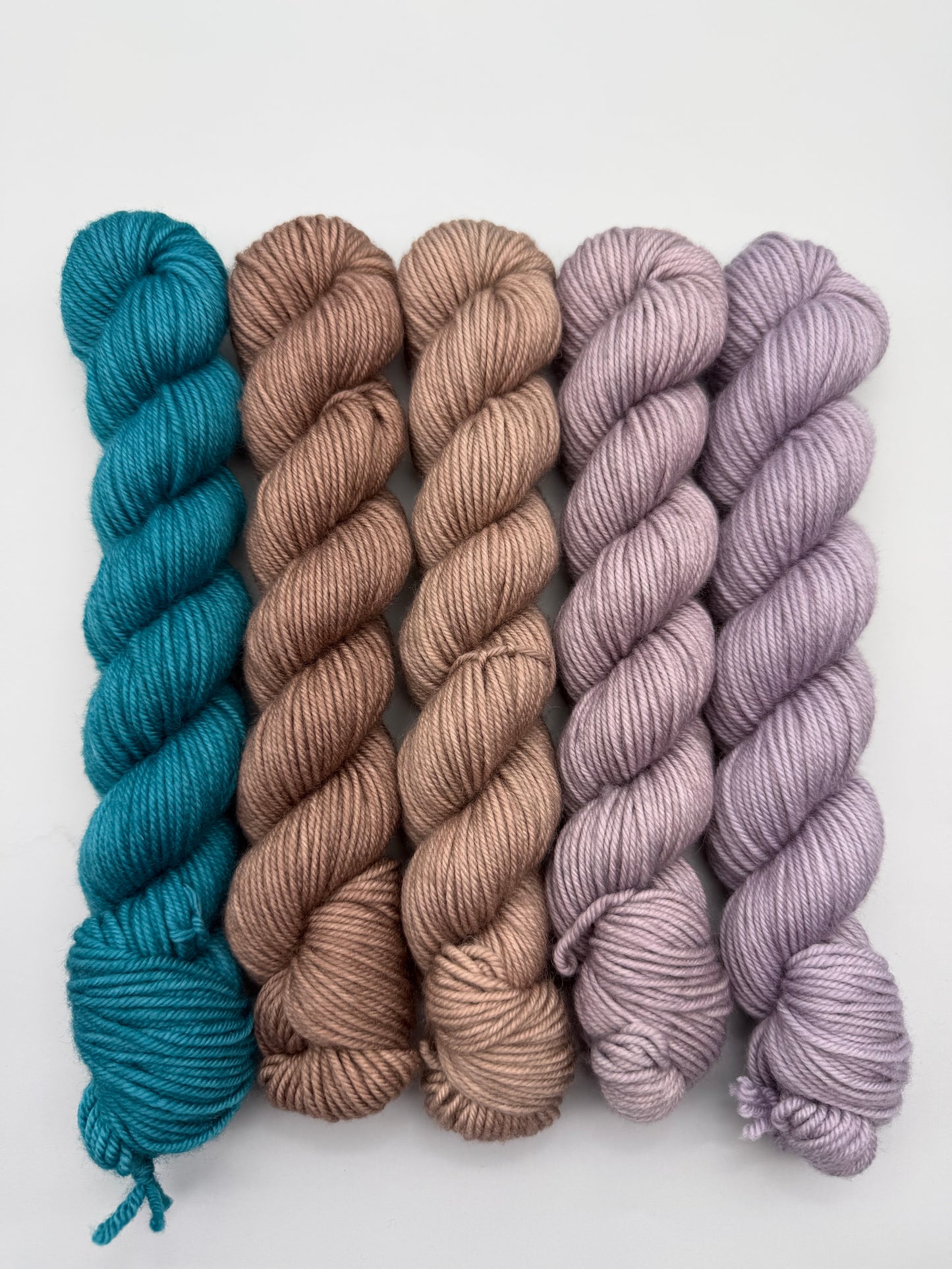 OOAK Thistle n Cerulean DK 50g Kit!