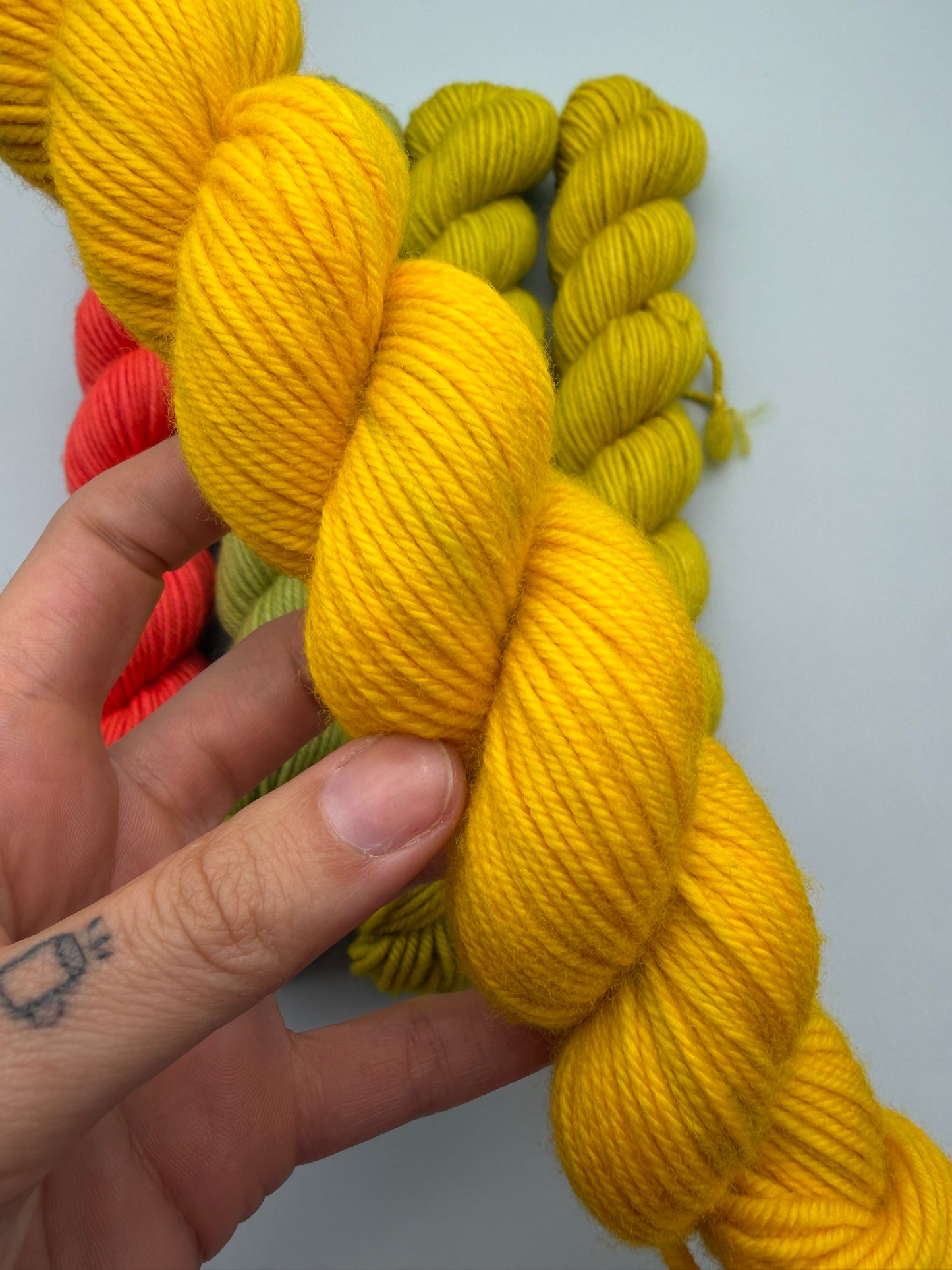 OOAK Succotash DK 50g Kit!