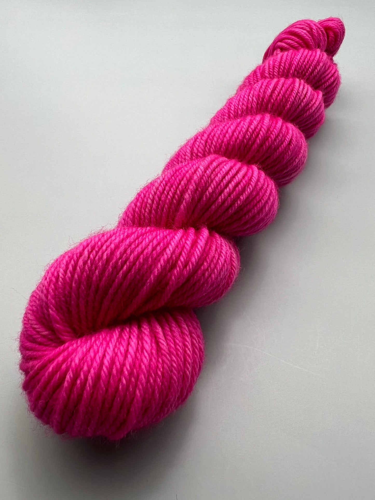 Sensation Pink Echinacea