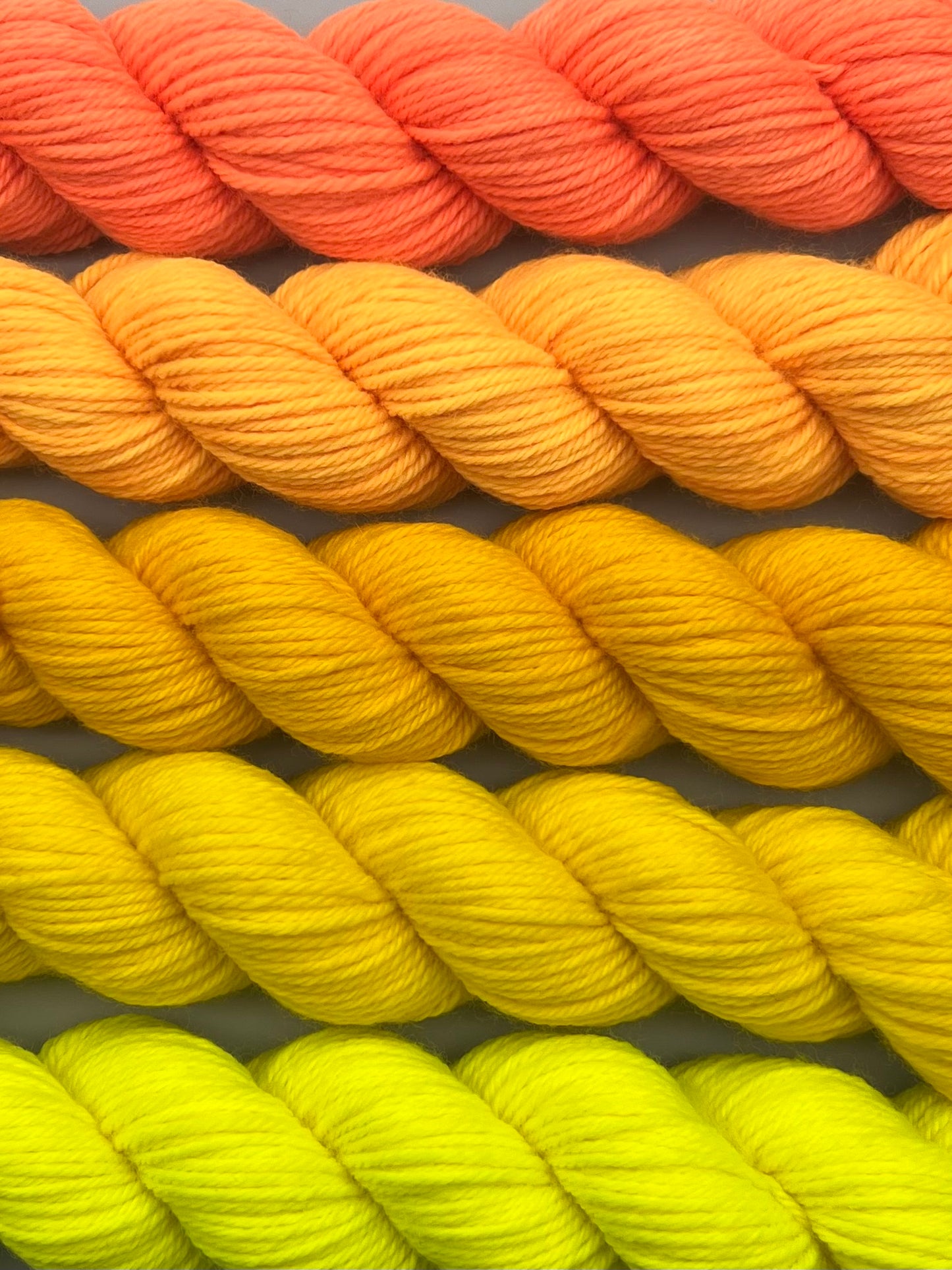 WARM(ER) September Swampy 50g Kit!