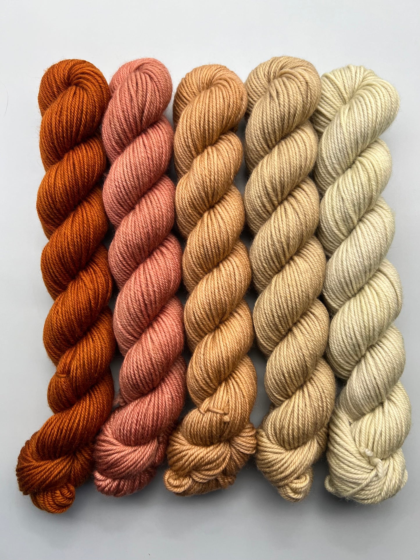 WARM Prairie Town 50g Kit!