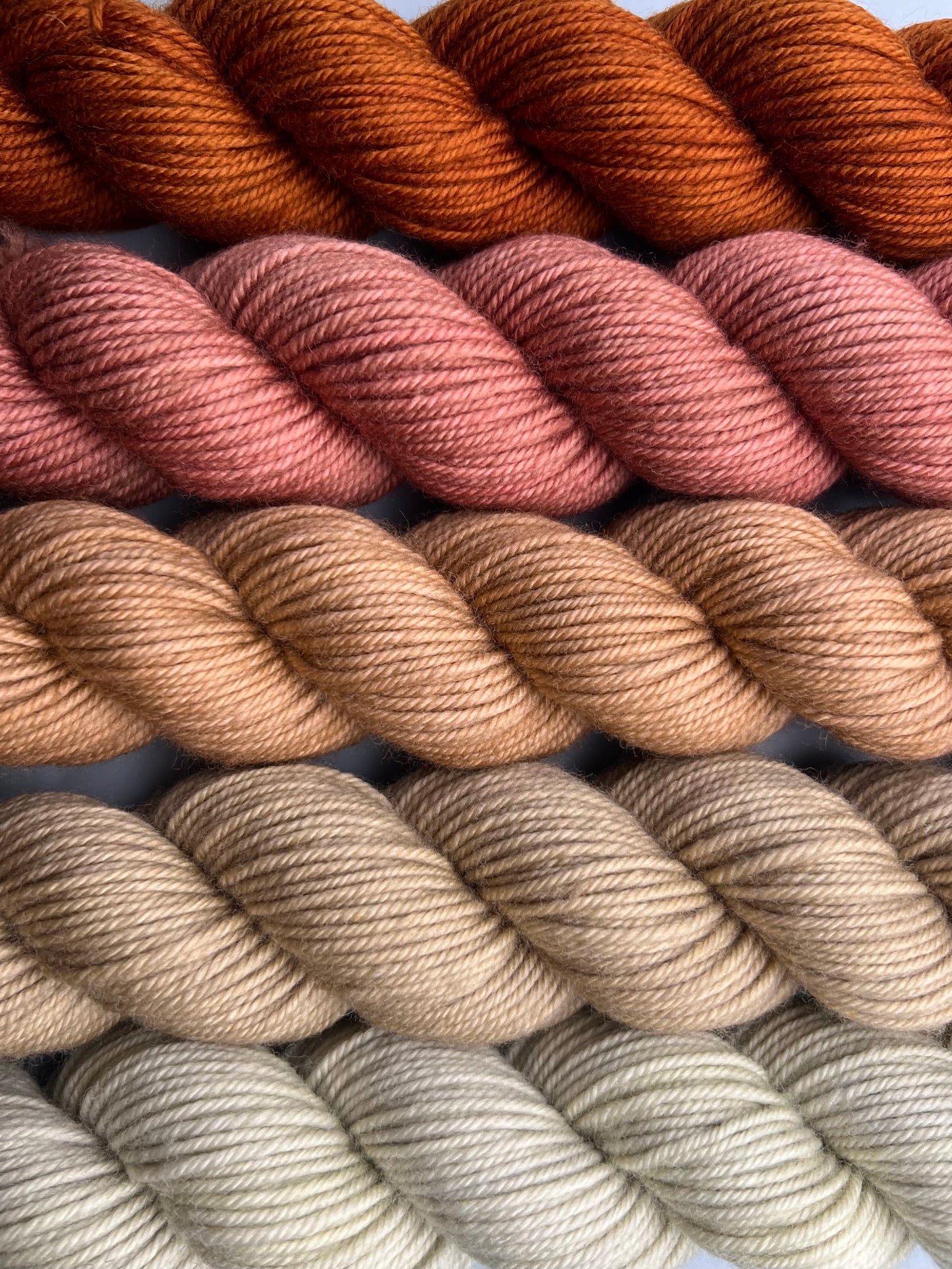 WARM Prairie Town 50g Kit!