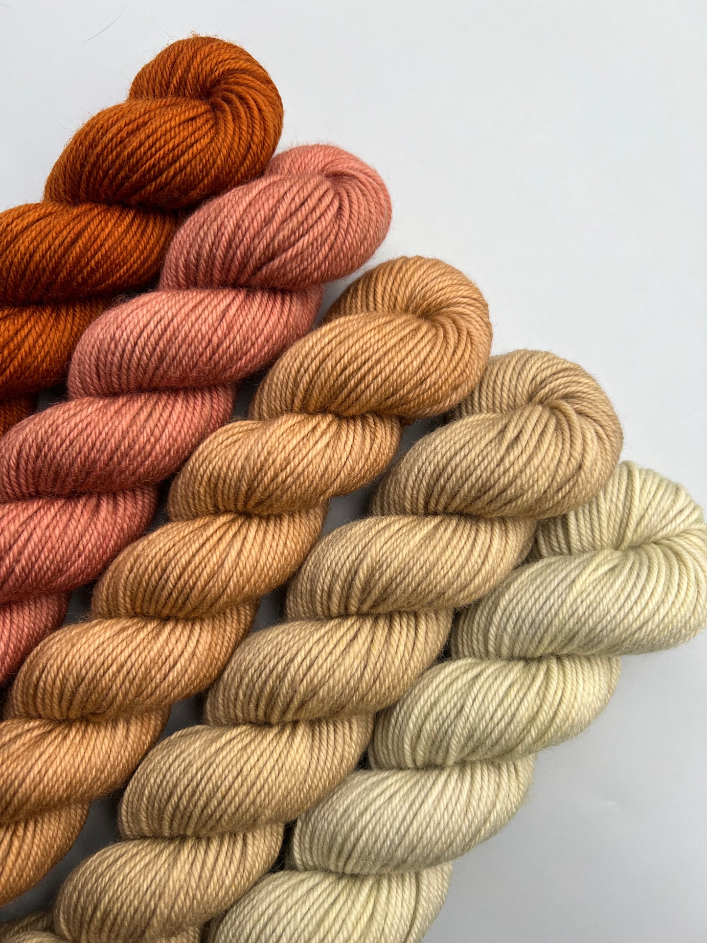 WARM Prairie Town 50g Kit!