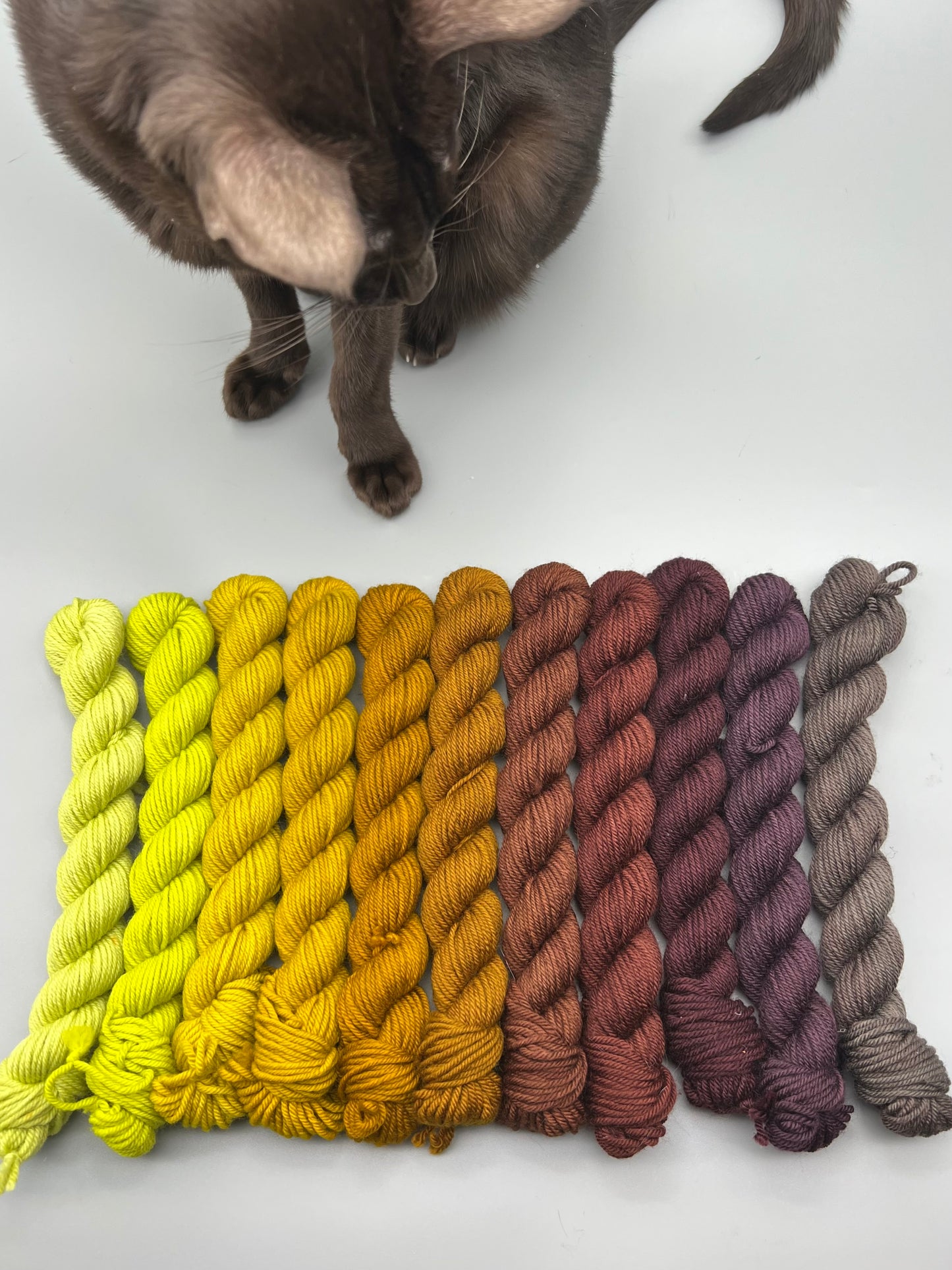 WARM Coastal DK Mini Kit; HALF THE DAMN LITTER
