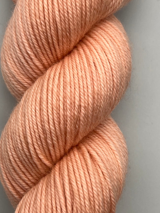 Paloma Buzz