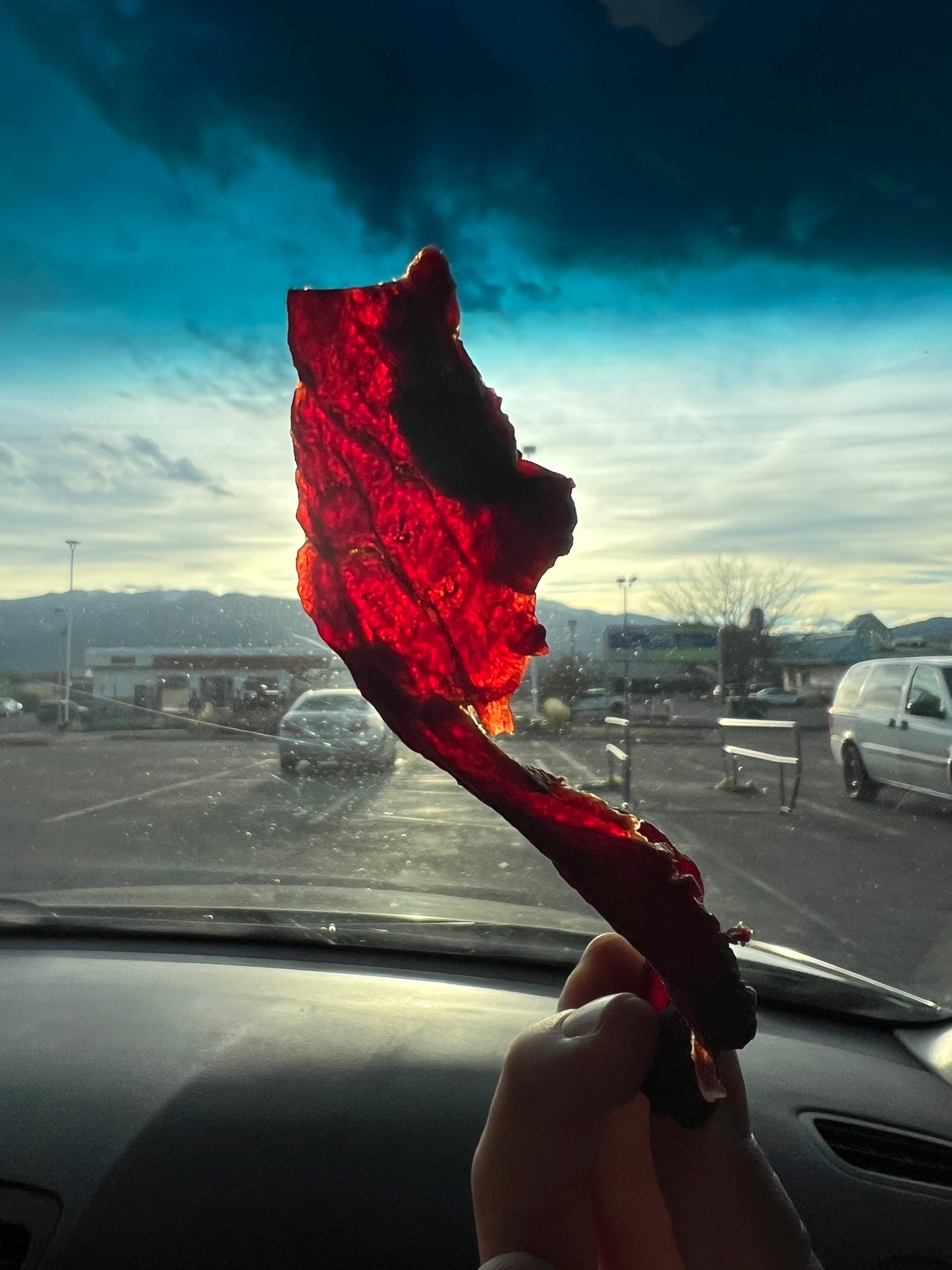 Beef Jerky