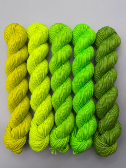WARM March 50g Kit!