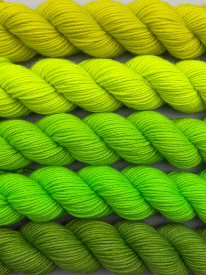 WARM March 50g Kit!