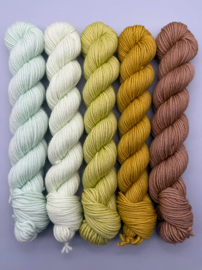 WARM May 50g Kit!