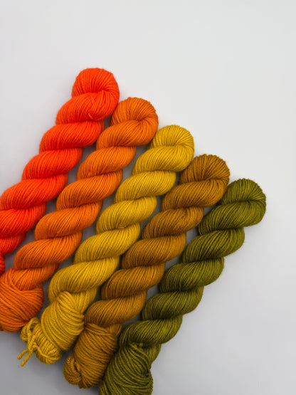 WARM June 50g Kit!