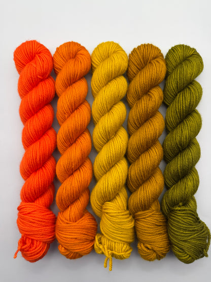 WARM June 50g Kit!