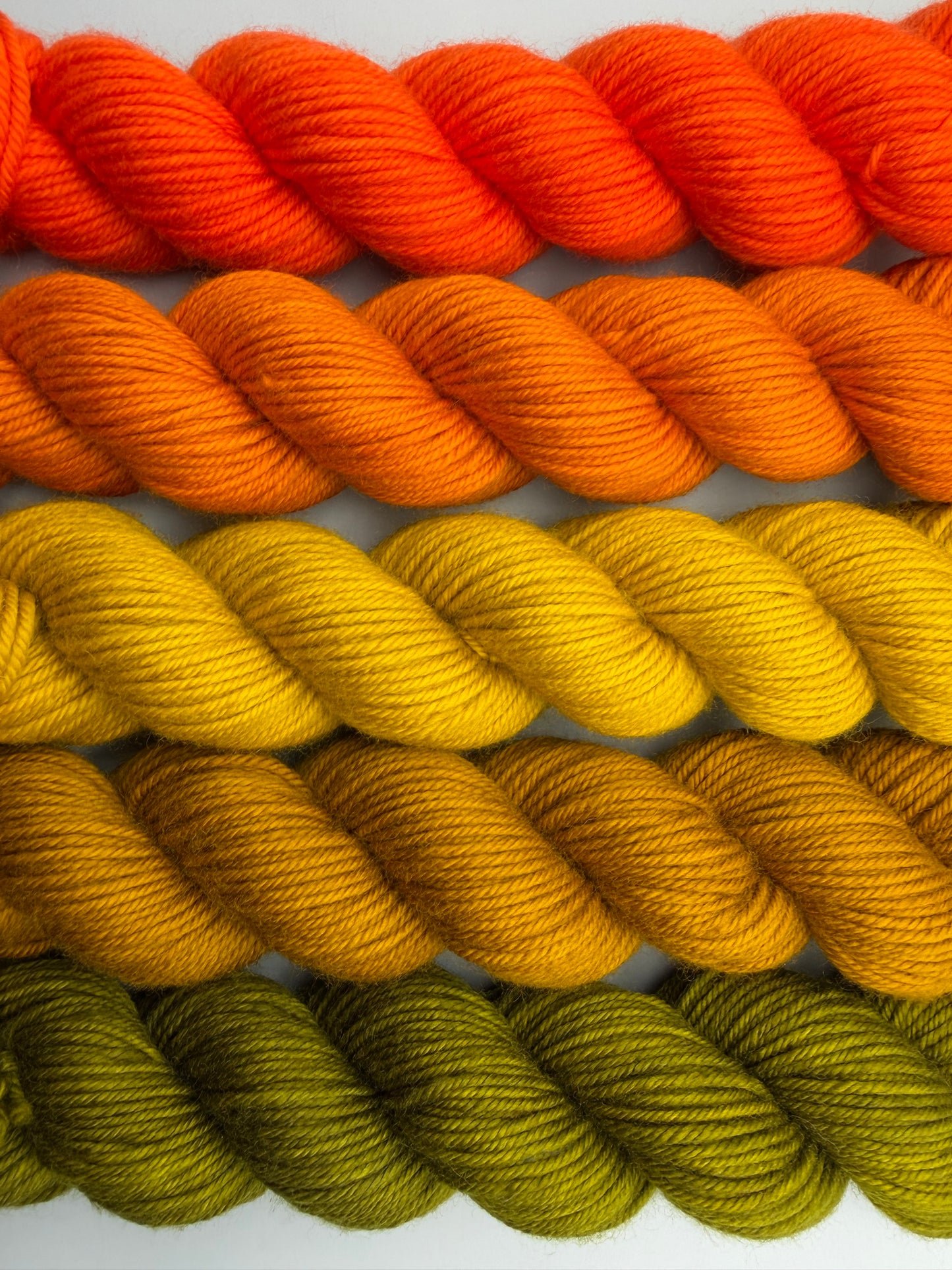 WARM June 50g Kit!