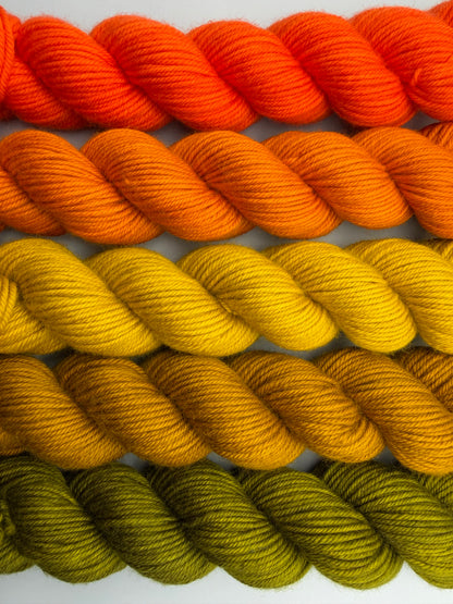 WARM June 50g Kit!
