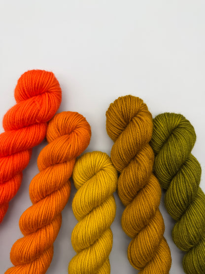 WARM June 50g Kit!