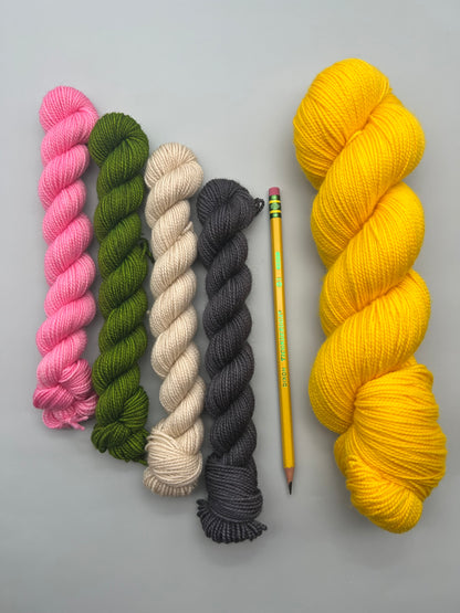 Ticonderoga Sock Kit! YAS KWEEN!