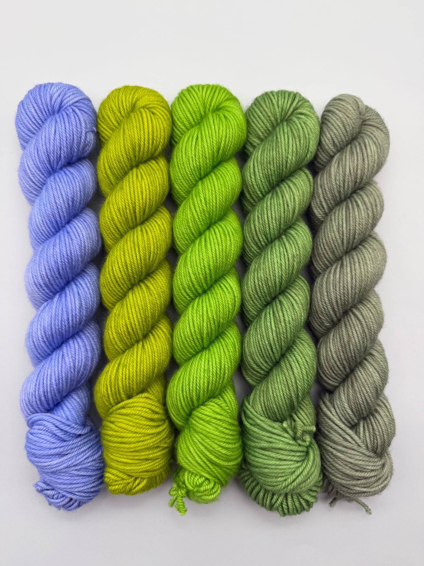 OOAK Forget Me Not DK 50g Kit!