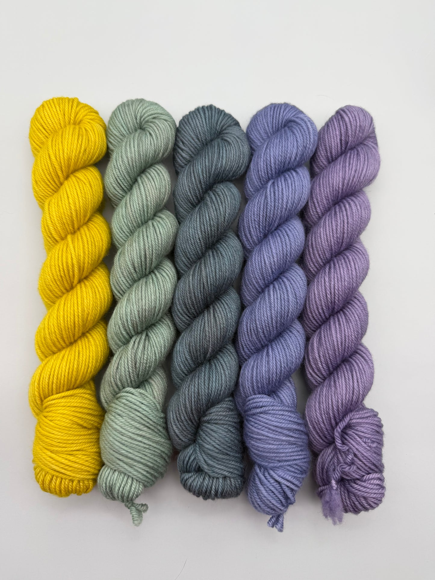 OOAK Pitter-Patter DK 50g Kit!