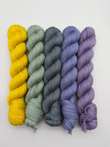 OOAK Pitter-Patter DK 50g Kit!