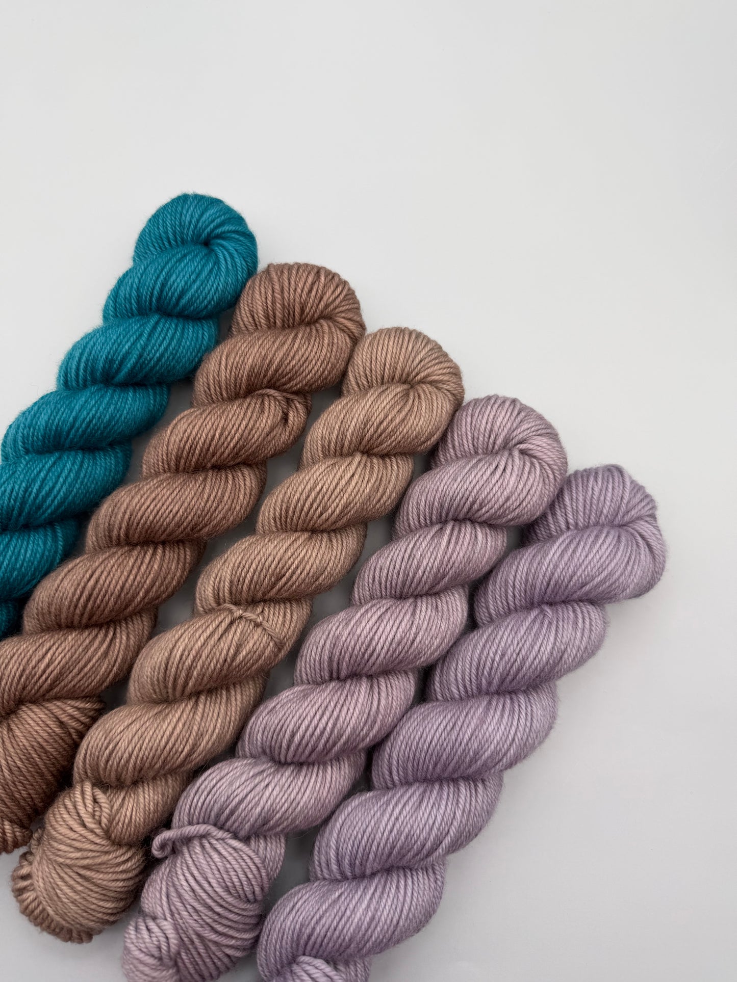 OOAK Thistle n Cerulean DK 50g Kit!