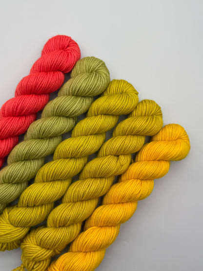 OOAK Succotash DK 50g Kit!