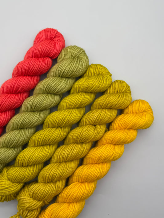 OOAK Succotash DK 50g Kit!