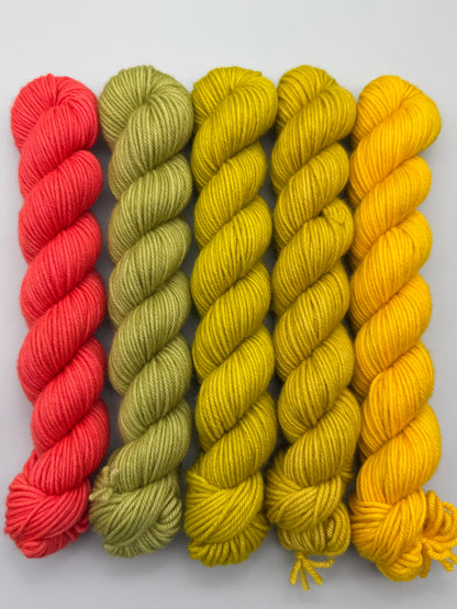 OOAK Succotash DK 50g Kit!