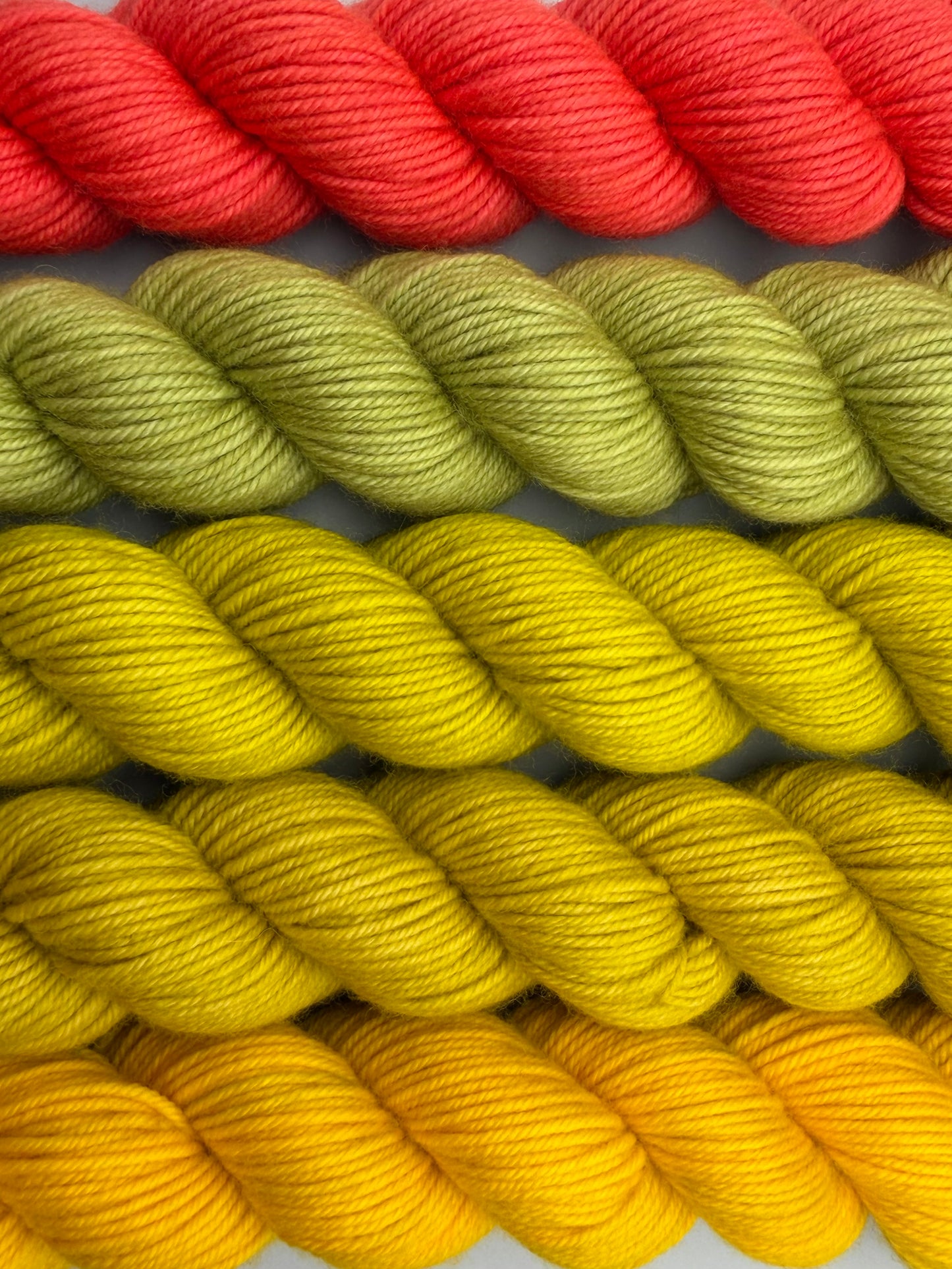 OOAK Succotash DK 50g Kit!
