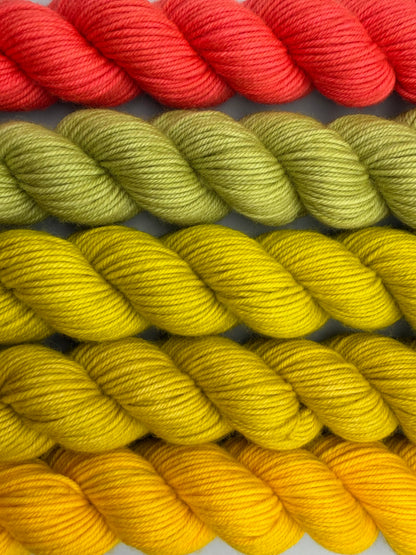OOAK Succotash DK 50g Kit!
