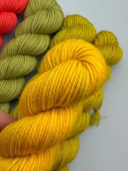 OOAK Succotash DK 50g Kit!