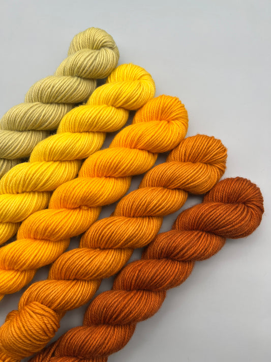 WARM August 50g Kit!