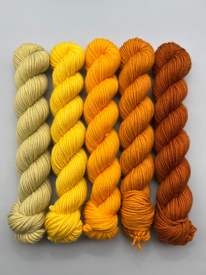 WARM August 50g Kit!