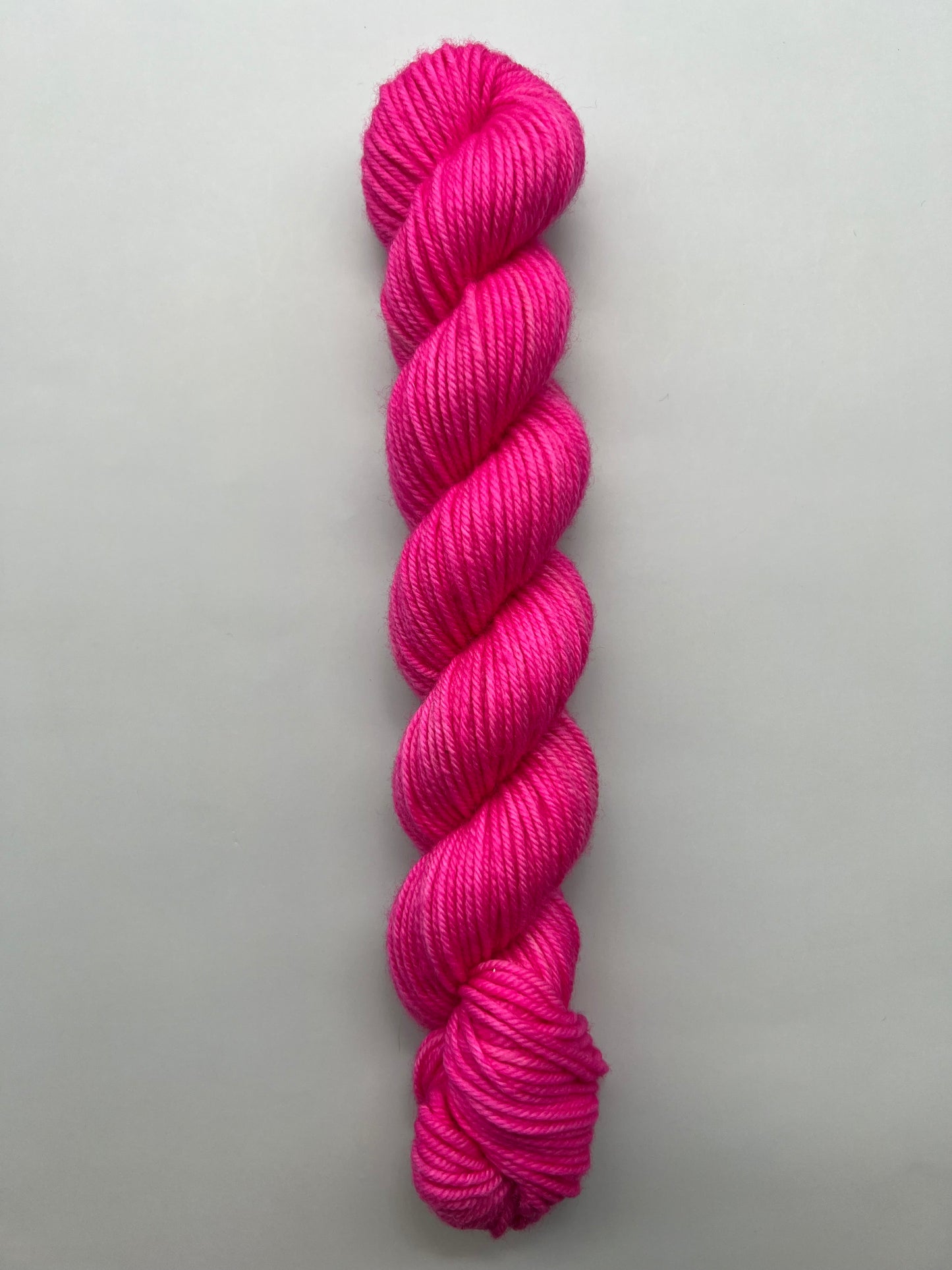 Sensation Pink Echinacea