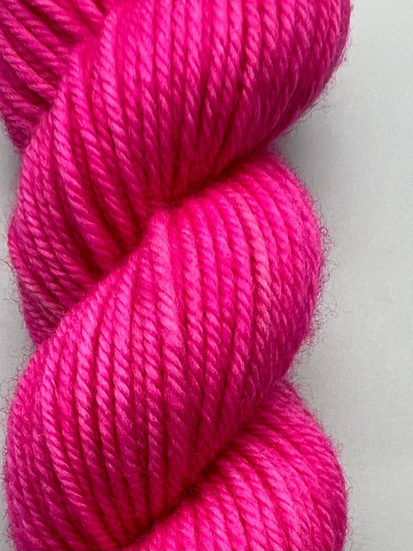 Sensation Pink Echinacea