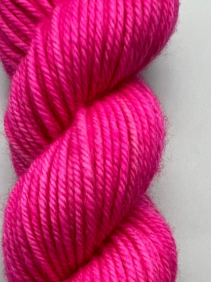 Sensation Pink Echinacea