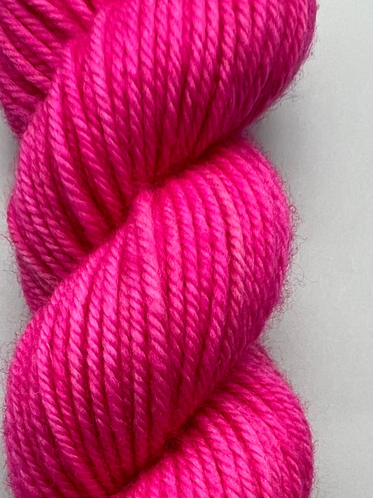 Sensation Pink Echinacea