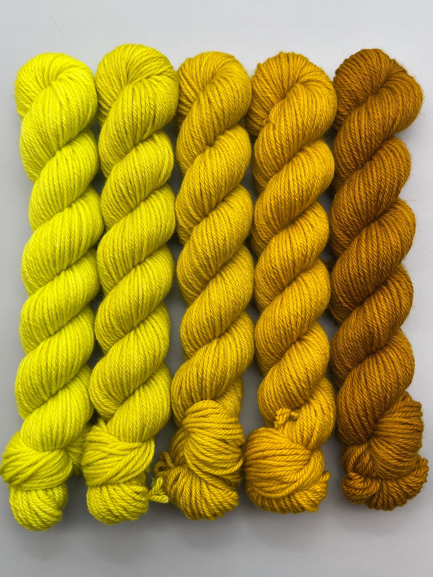 WARM September Swampy 50g Kit!