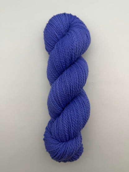 Domestic Cornflower