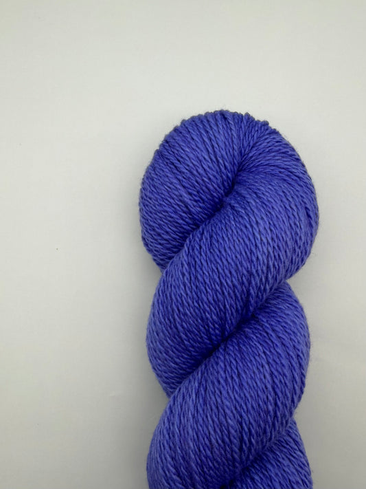 Domestic Cornflower