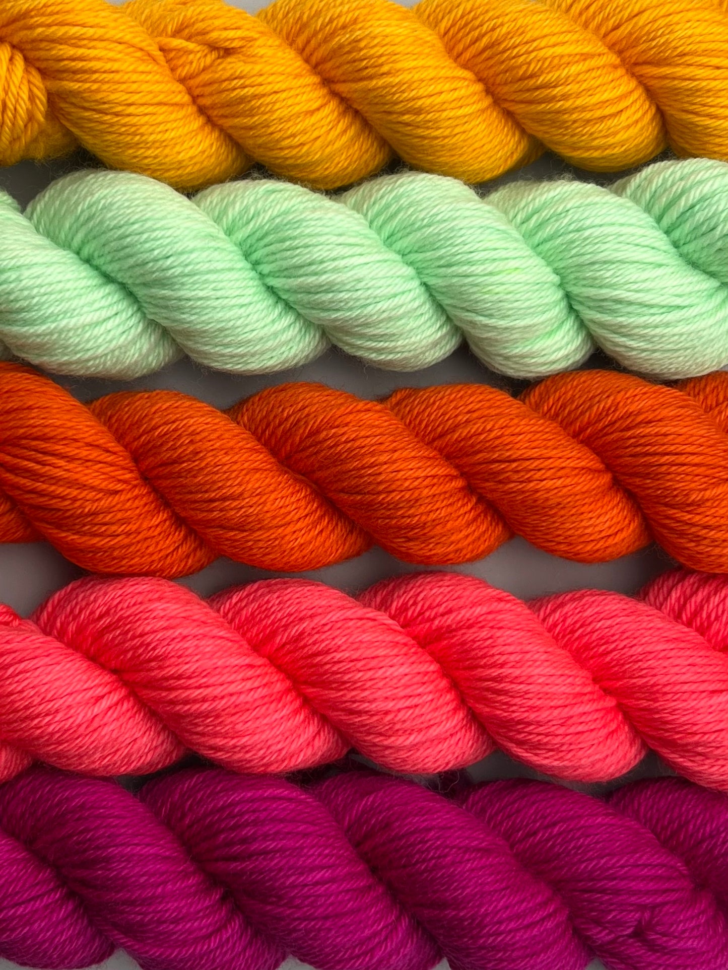 WARM September Swifty 50g Kit!