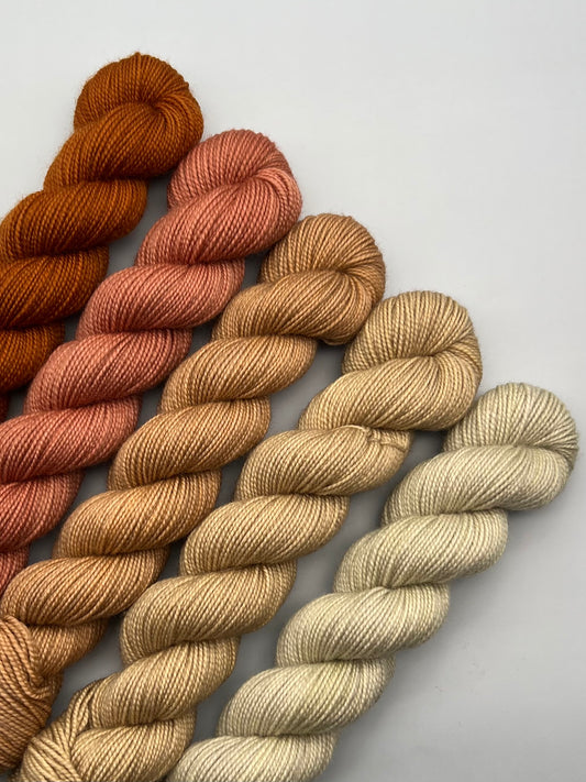 WARM Prairie Town 50g Kit!