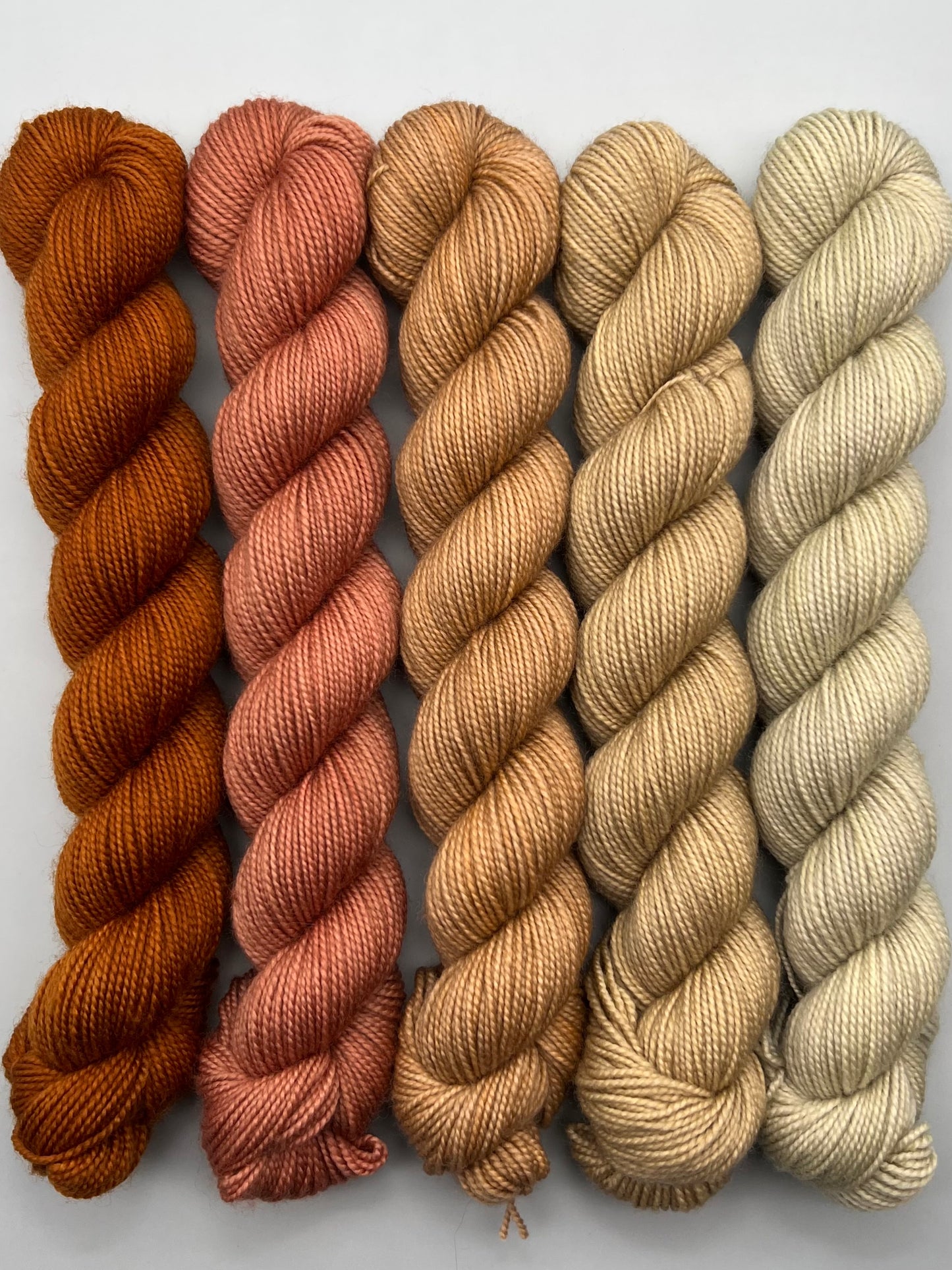 WARM Prairie Town 50g Kit!