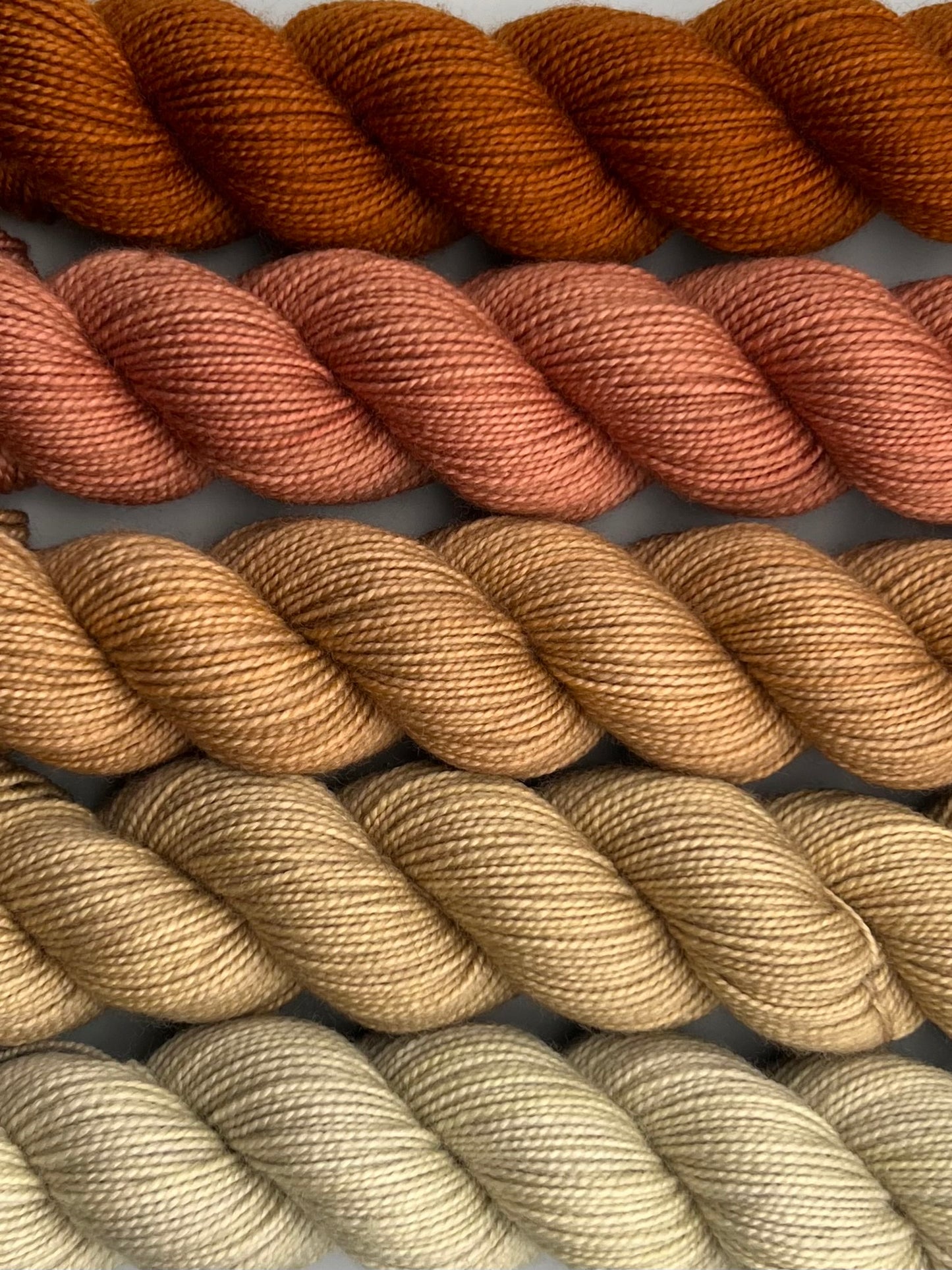 WARM Prairie Town 50g Kit!
