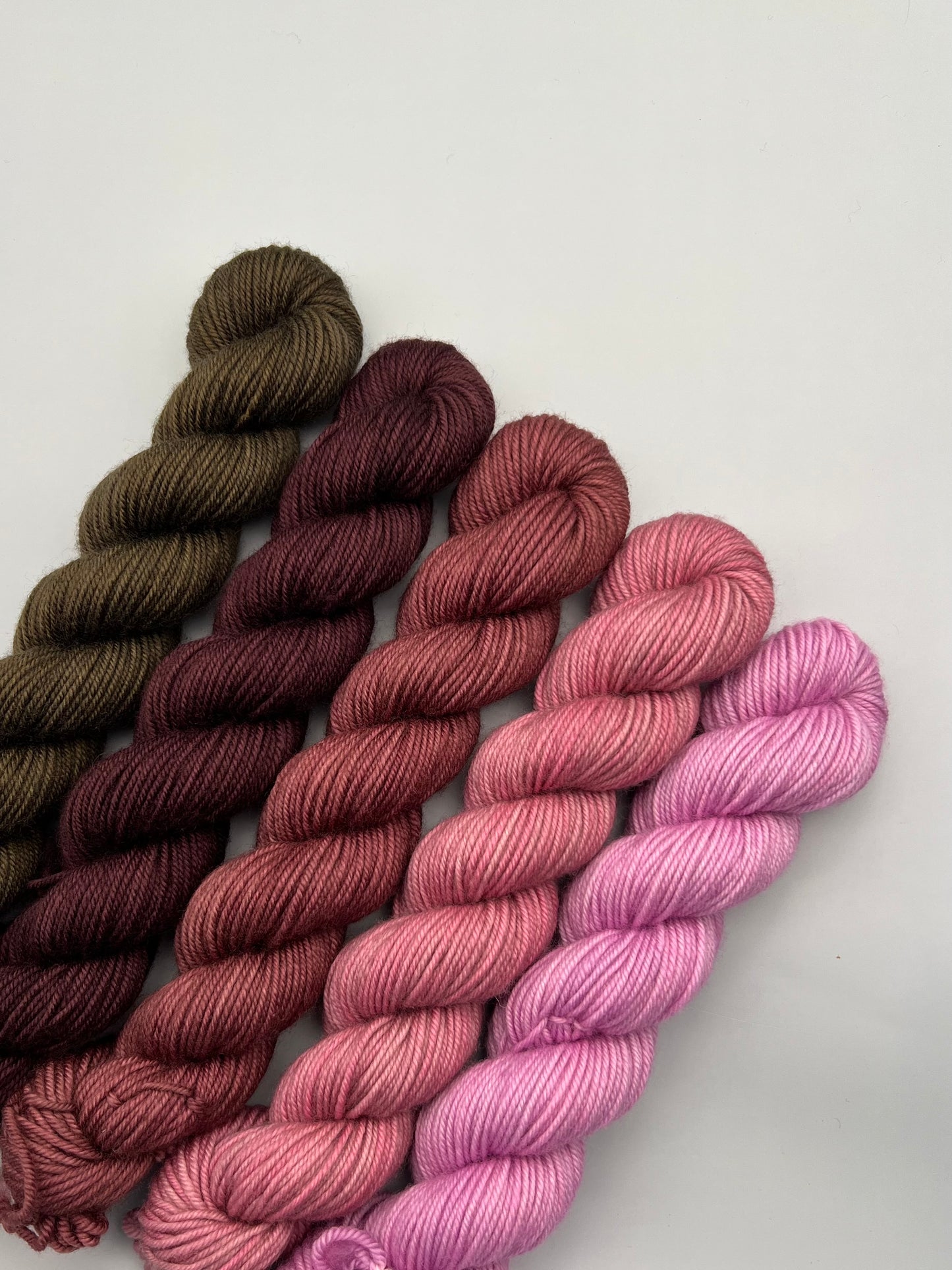 WARM December 50g Kit!