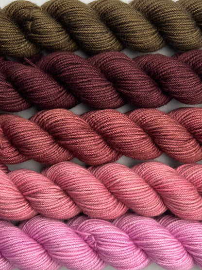 WARM December 50g Kit!