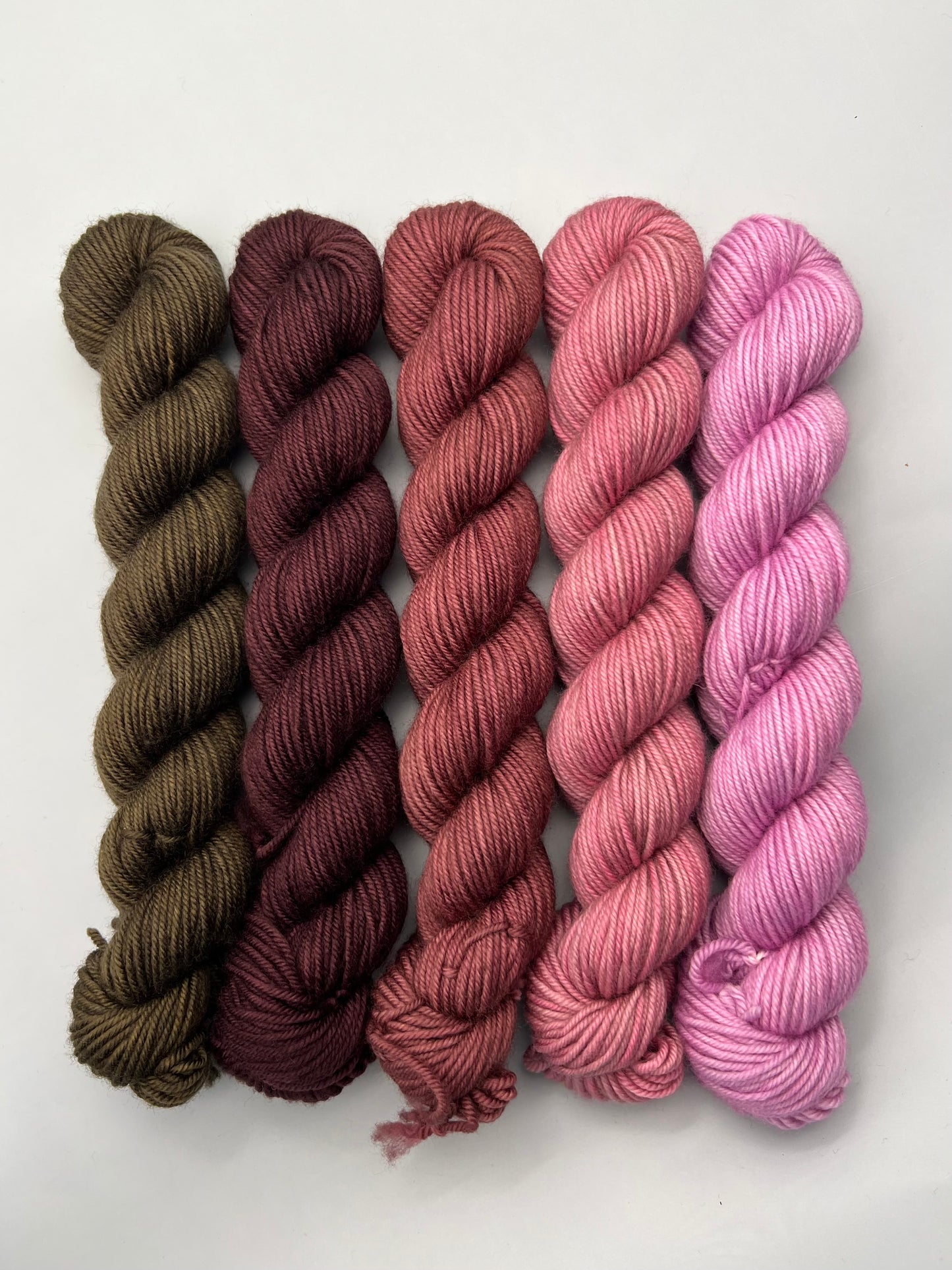 WARM December 50g Kit!