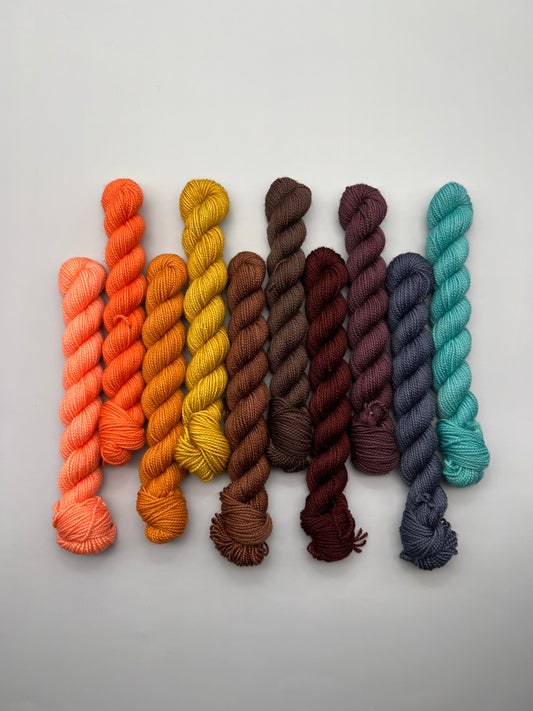 OOAK Roller Rink Fingering Mini Kit